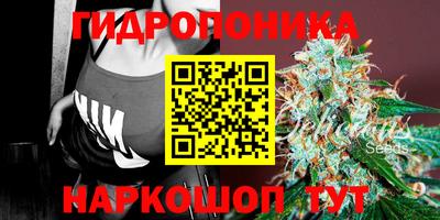 Альфа ПВП Краснознаменск