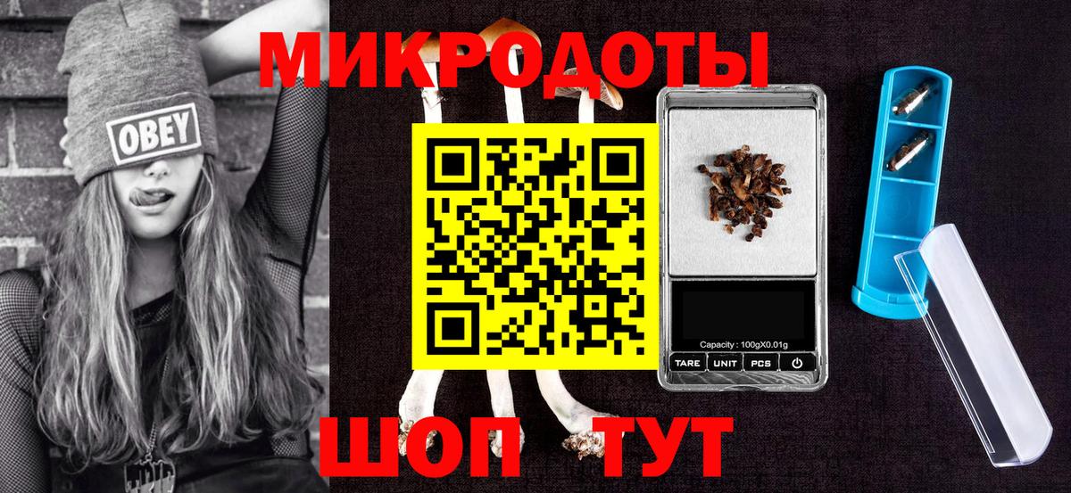 Псилоцибиновые грибы Cubensis Керчь