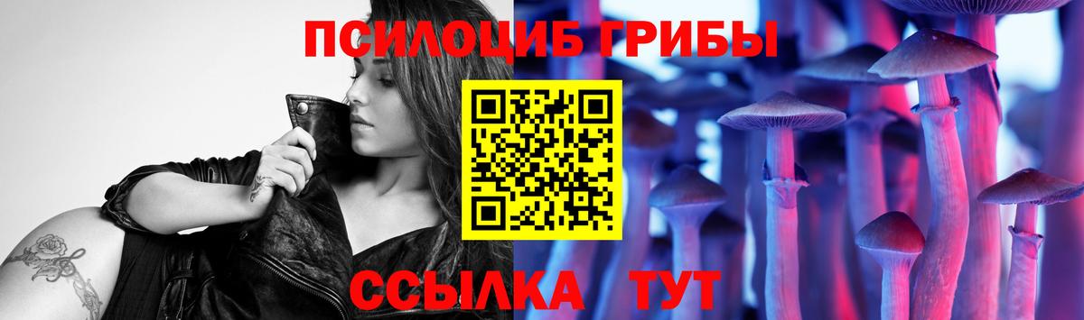 цены   Псилоцибиновые грибы GOLDEN TEACHER  Вход с VPN  Керчь 